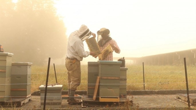 ballard bee company about us