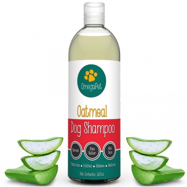Bottle_with_Aloe2_1024x1024