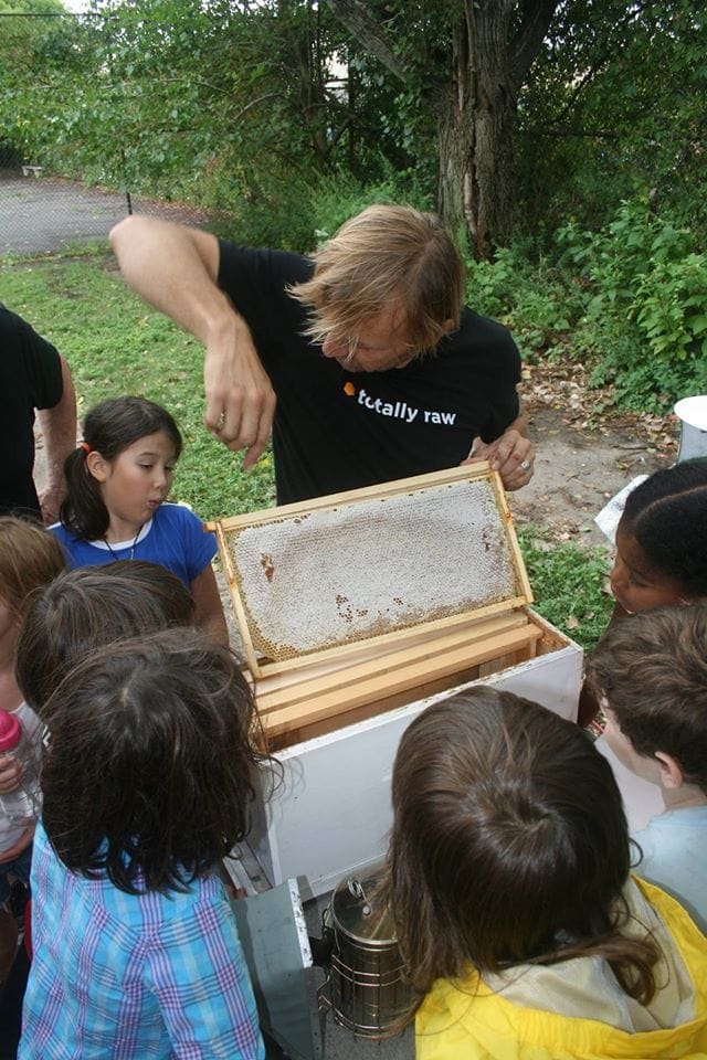 http-::www.ohhoneyapiaries.com:gallery: