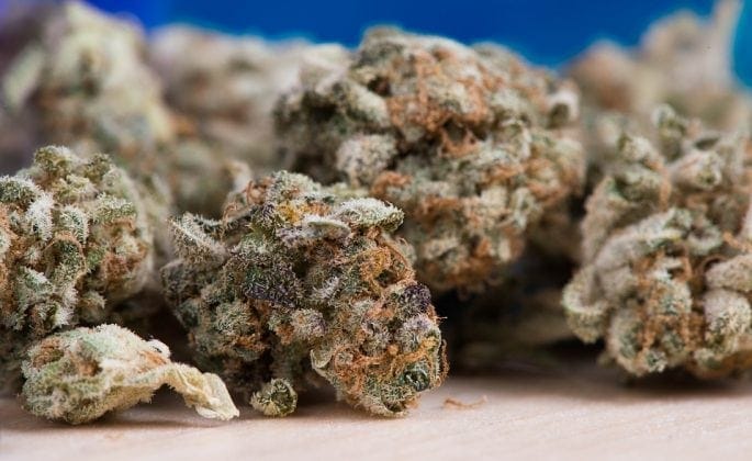 General Requirements for Packaging Cannabis Header Image