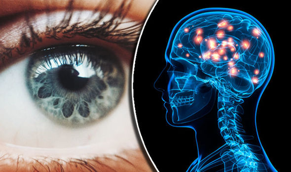 Image of Eye and Brain Synapses