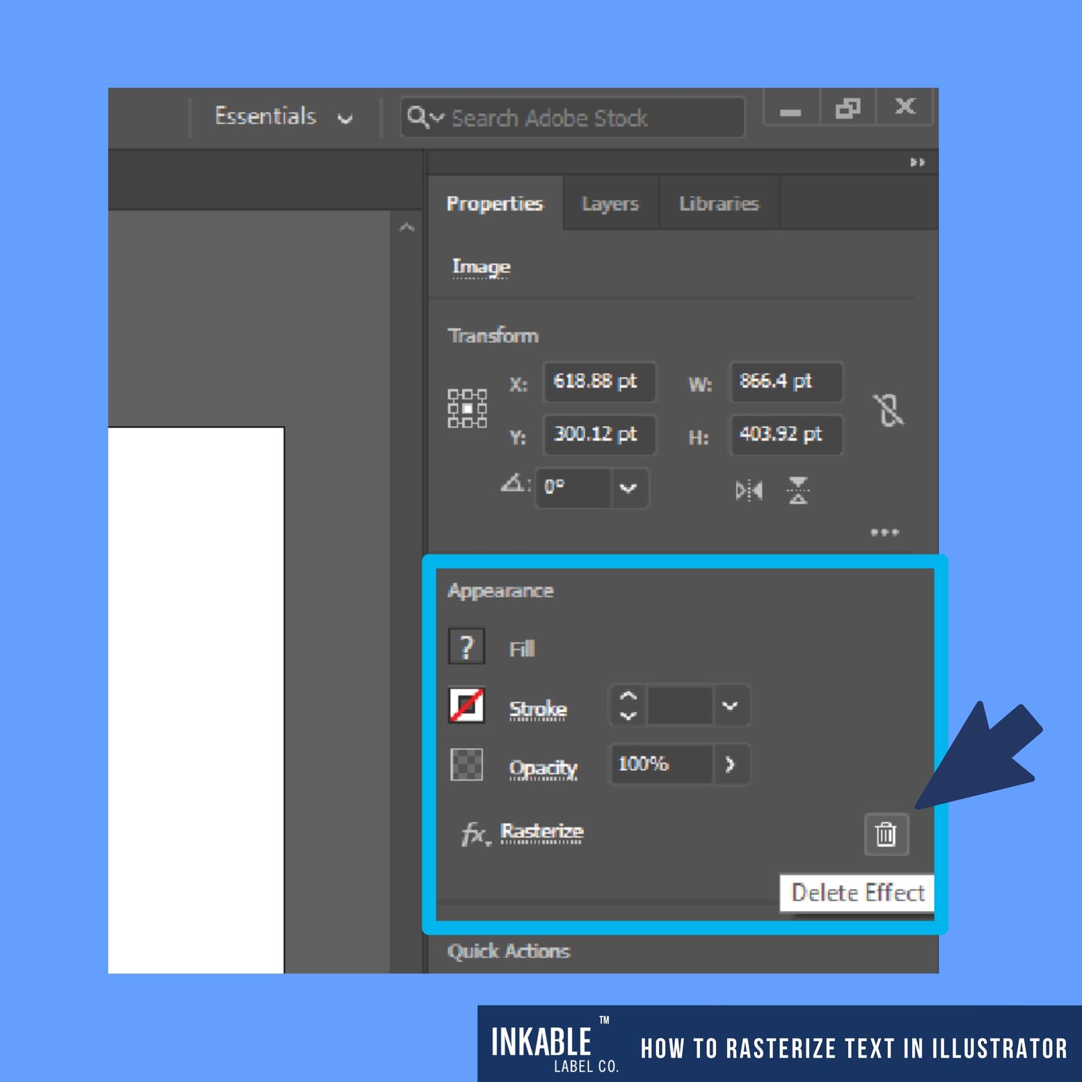 Step 8D - Go to Appearances to finalize the raster effect