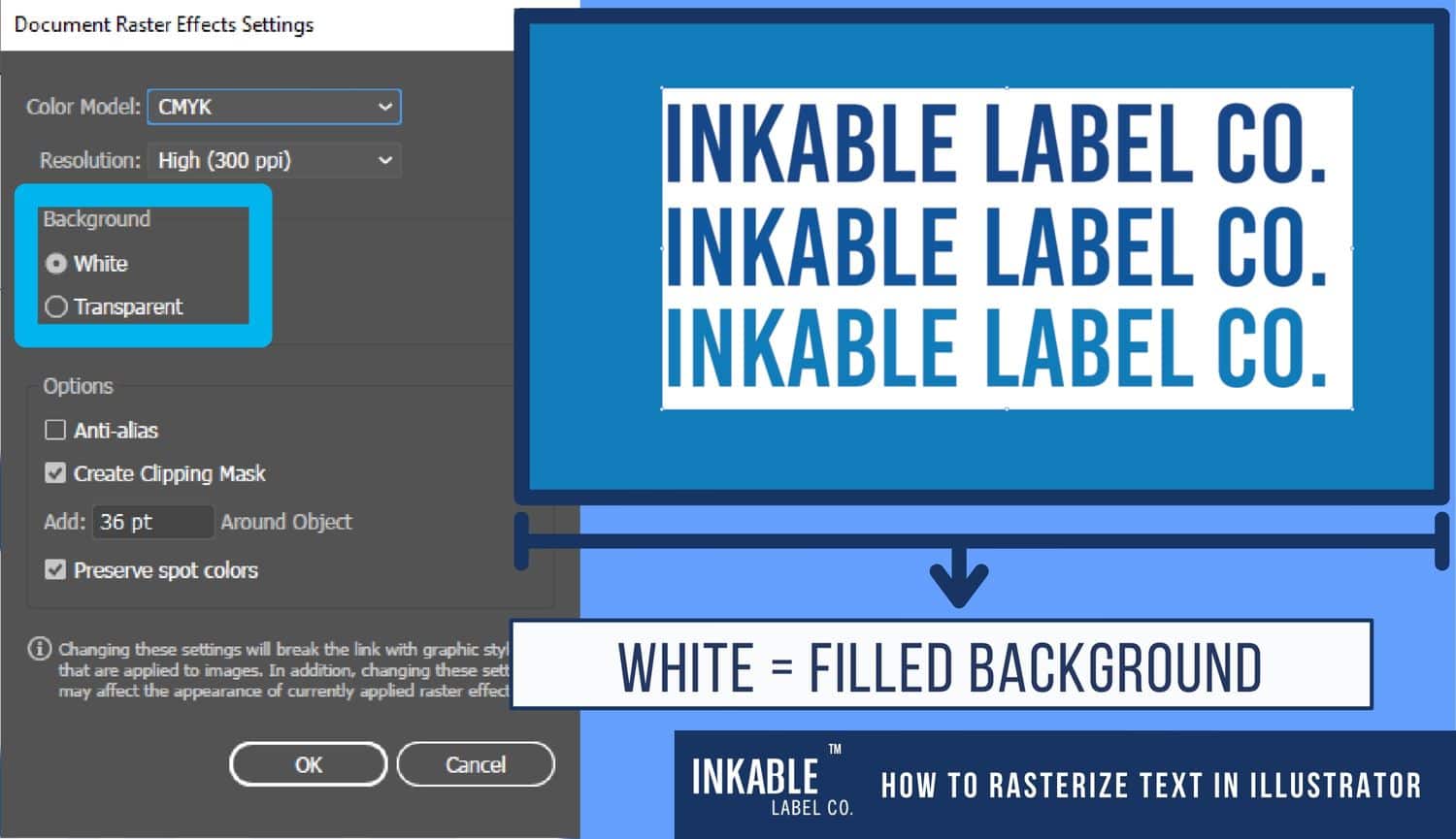 White background raster effect settings.jpg
