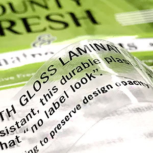 Clear PVC with Gloss Laminate