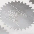 Silver-Foil-with-Embossing-Lisa-Thomas-1.jpg
